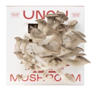 UNGU Black Pearl Oyster Mushroom Grow Kit – size M