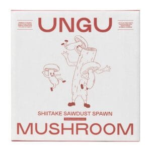 Box of Shiitake mushroom sawdust spawn for cultivating gourmet mushrooms in logs.