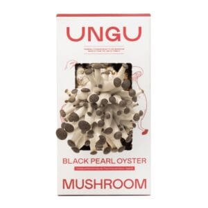 UNGU Black Pearl Oyster Mushroom Grow Kit – size S