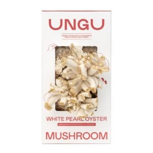 UNGU White Pearl Oyster Mushroom Grow Kit – size S, with vibrant white pearl oyster mushrooms flushing out from the front of the compact grow box