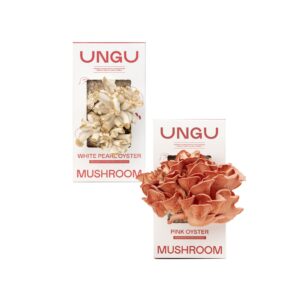 White Pearl Oyster and Pink Oyster Mushroom Grow Kit Boxes side by side.
