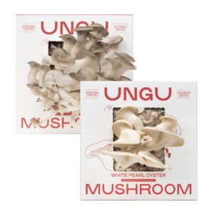 White and Black Pearl Oyster Mushroom Grow Kit Boxes side by side.