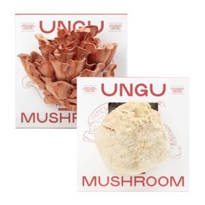 Lion’s Mane and Pink Oyster Mushroom Grow Kit Boxes side by side.