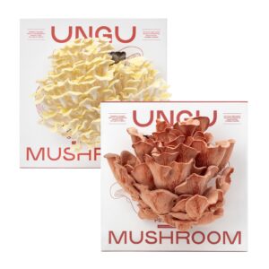 Gilden and Pink Oyster Mushroom Grow Kit Boxes side by side.