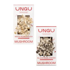 White and Black Pearl Oyster Mushroom Grow Kit Boxes side by side.