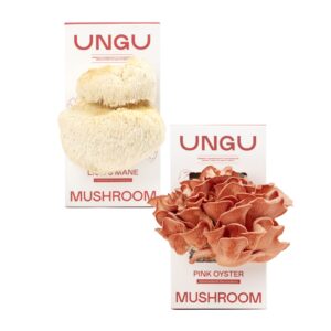 Lion’s Mane and Pink Oyster Mushroom Grow Kit Boxes side by side.