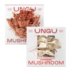 White Pearl Oyster and Pink Oyster Mushroom Grow Kit Boxes side by side.